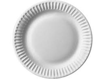 Papieren bord Abena rond 15 cm (pak à 100 stuks)