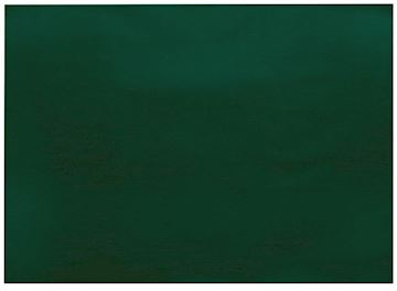 Placemat Airlaid 30 x 40 cm - groen (250 stuks)